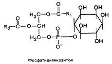 Ненасыщенные жирные кислоты - student2.ru