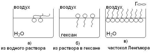 Неполярный хвост полярная головка - student2.ru