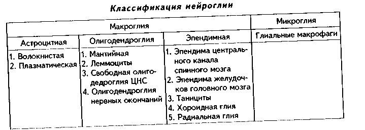 нервная ткань. нейроциты и нейроглия. нервные волокна - student2.ru