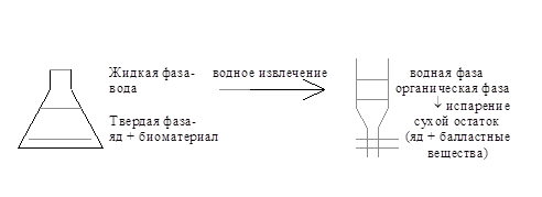 Номенклатура и классификация - student2.ru