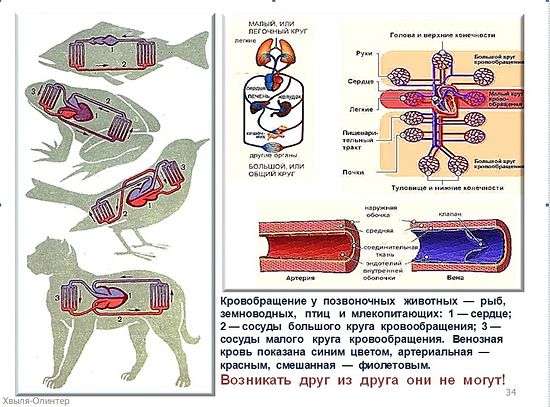 О вере в науке: тем хуже для фактов? - student2.ru