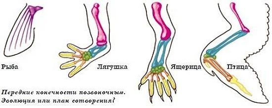 О вере в науке: тем хуже для фактов? - student2.ru