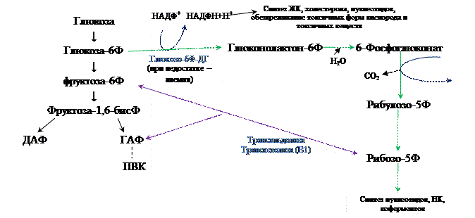 Обмен фруктозы и галактозы - student2.ru