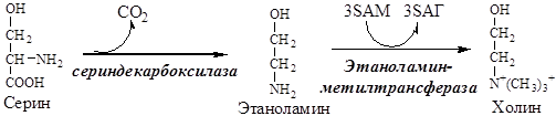 Образование S-аденозилметионина - student2.ru