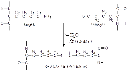 Образование, строение, свойства, биологическое значение - student2.ru