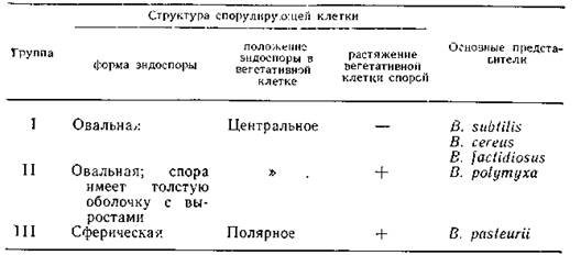 Общая характеристика бактерий, образующих эндоспоры - student2.ru