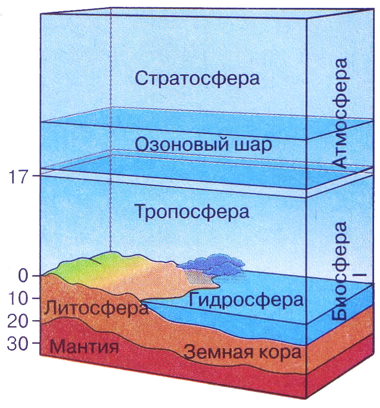 Атмосфера границы оболочки. Атмосфера гидросфера литосфера. Гидросфера Тропосфера атмосфера литосфера Биосфера. Схема атмосферы гидросферы и биосферы. Структура и границы биосферы схема.