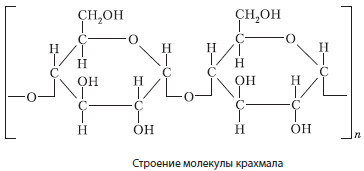 Общая характеристика органических веществ клетки - student2.ru