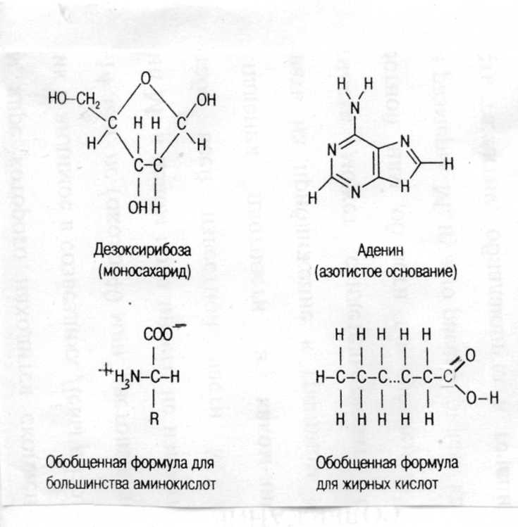 Общая характеристика Земли - student2.ru