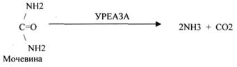 общие черты ферментов и небиологических катализаторов - student2.ru