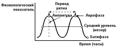 Общие представления о биологических ритмах - student2.ru