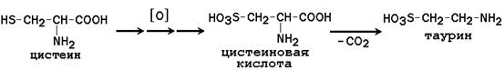 Общие пути катаболизма аминокислот в тканях. - student2.ru
