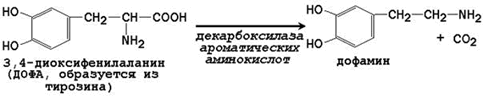 Общие пути катаболизма аминокислот в тканях. - student2.ru