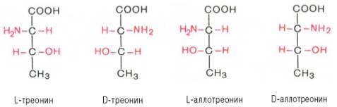 Общие свойства аминокислот - student2.ru
