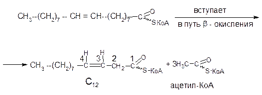 Окисление ненасыщенных жирных кислот - student2.ru
