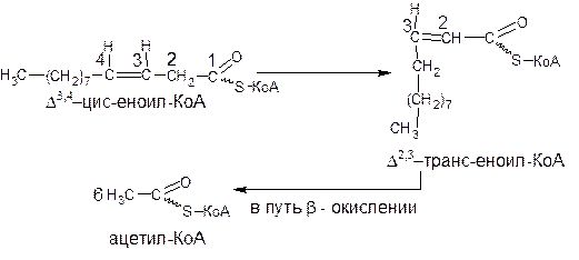 Окисление ненасыщенных жирных кислот - student2.ru