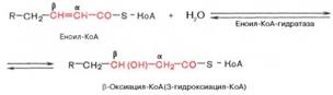 Окисление высших жирных кислот. Последовательность реакций бета-окисления. Связь окисления жирных кислот с цитратным циклом и дыхательной цепью - student2.ru