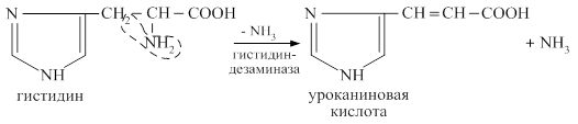 Окислительное дезаминирование - student2.ru