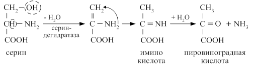 Окислительное дезаминирование - student2.ru