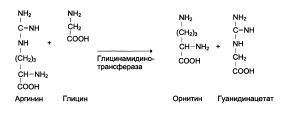 Окислительное дезаминирование - student2.ru