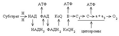 Окислительное фосфорилирование - student2.ru