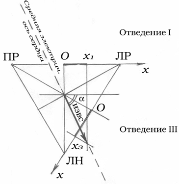 Описание установки и метода измерений. Важным моментом в анализе ЭКГ является расчет длительности указанных промежутков и - student2.ru