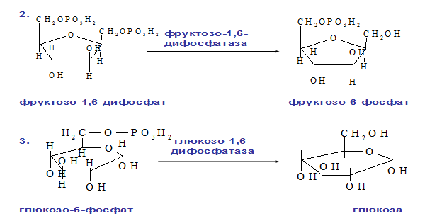 Определение уровня глюкозы в крови с помощью глюкометра One Touch ultra - student2.ru