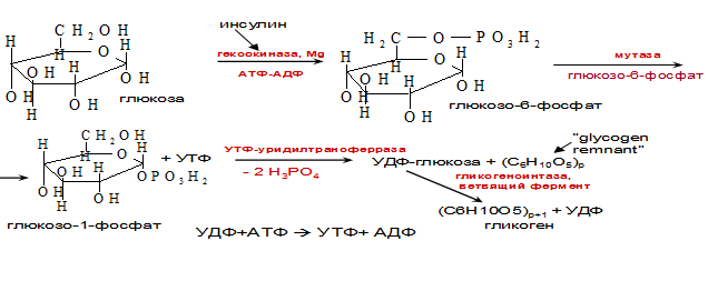 Определение уровня глюкозы в крови с помощью глюкометра One Touch ultra - student2.ru