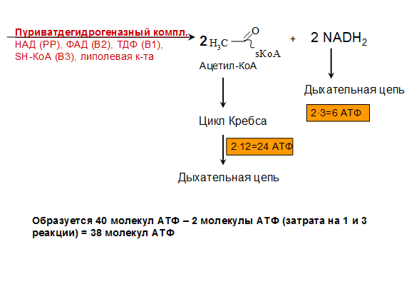 Определение уровня глюкозы в крови с помощью глюкометра One Touch ultra - student2.ru