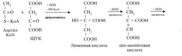 Оптические свойства белковых растворов - student2.ru