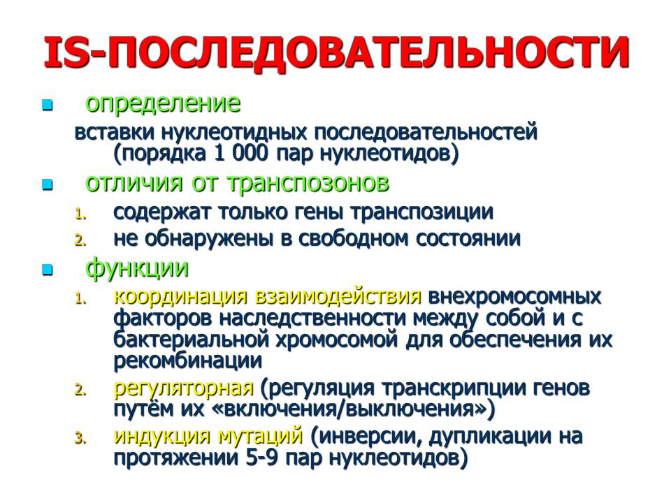 организация генетического материала у бактерий - student2.ru