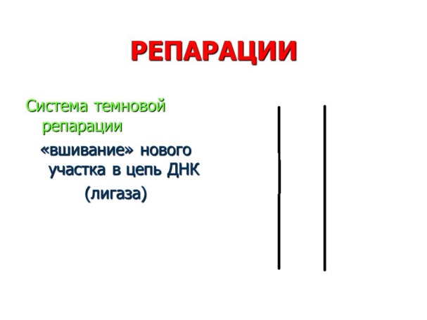 организация генетического материала у бактерий - student2.ru