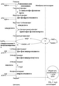 Основной список (из задачника) – 2006 год - student2.ru