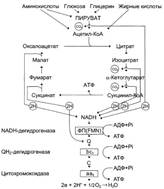 Основной список (из задачника) – 2006 год - student2.ru