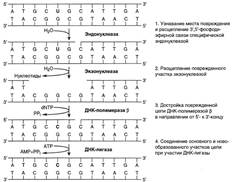 Основной список (из задачника) – 2006 год - student2.ru