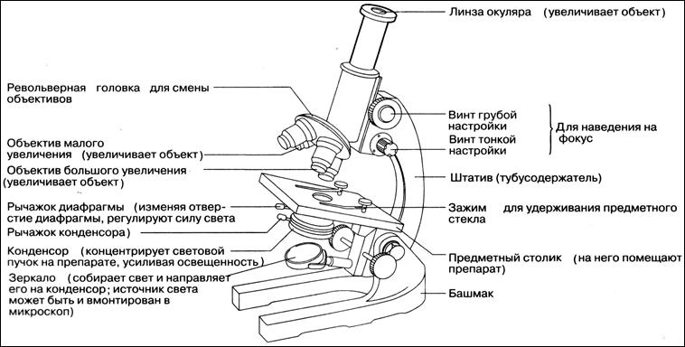 Основные микроскопические приборы - student2.ru