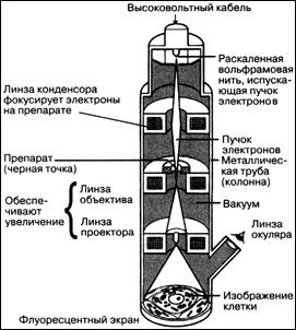 Основные микроскопические приборы - student2.ru