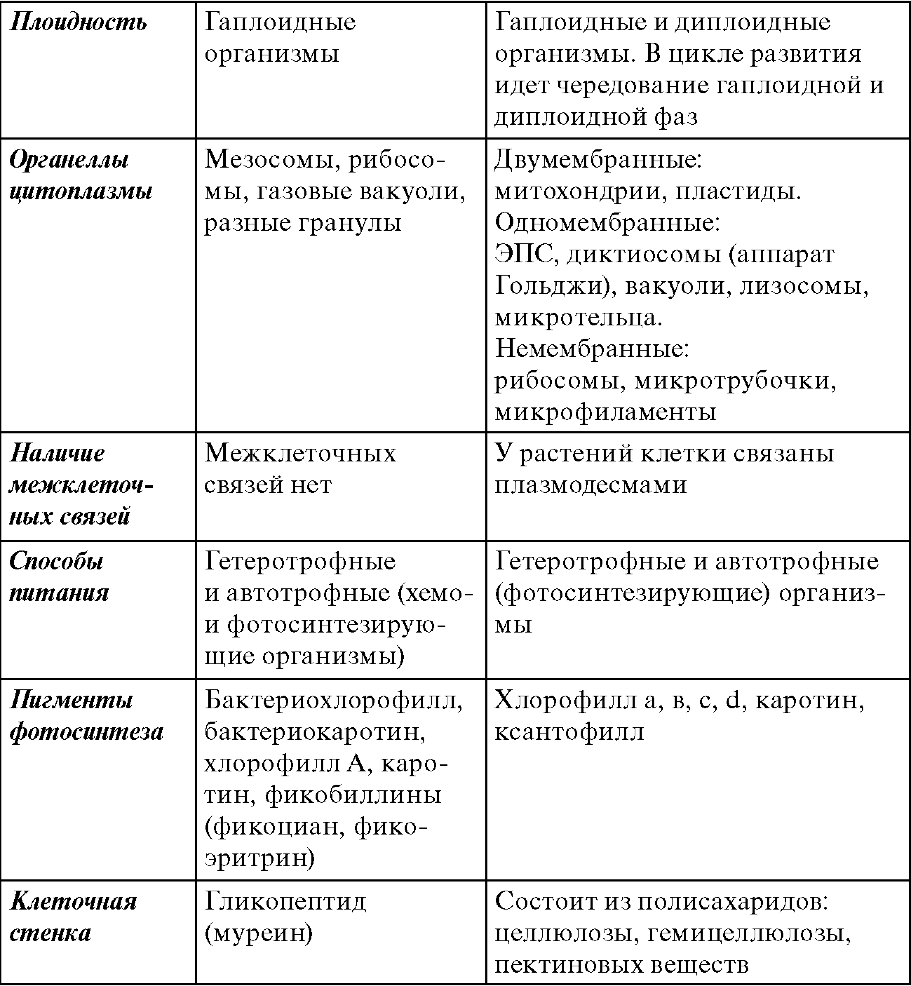 Основные особенности прокариот и эукариот - student2.ru