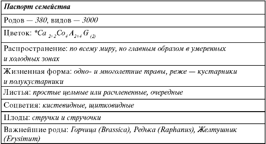Основные различия между двудольными и однодольными - student2.ru
