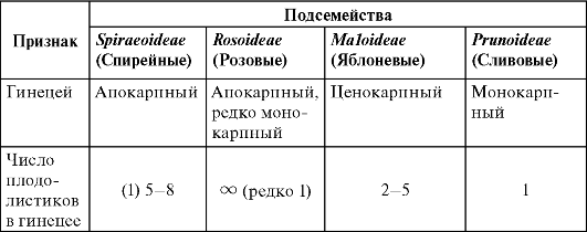 Основные различия между двудольными и однодольными - student2.ru