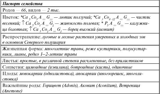 Основные различия между двудольными и однодольными - student2.ru