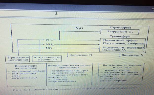 Основы биогеохимии. Учебник для студентов высших учебных заведений Добровольский В.В. - student2.ru