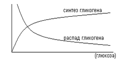 Особенности содержания и обмена ГАГ и ПГ у детей - student2.ru