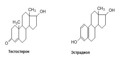 Отдельные представители полисахаридов - student2.ru
