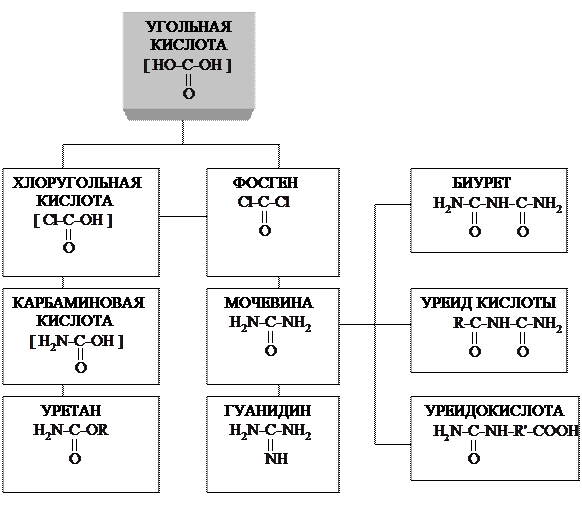 Открытие щавелевой кислоты - student2.ru