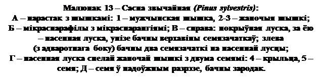 Паходжанне голанасенных раслін - student2.ru