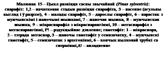 Паходжанне голанасенных раслін - student2.ru