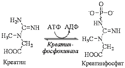 Патогенез ГКС (2-й этап) - student2.ru