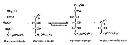 Пентозофосфатный путь окисления глюкозы - student2.ru