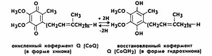 Пептидазалар (пептидгидролазалар) 7 страница - student2.ru